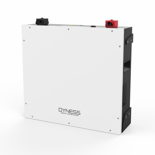 Аккумуляторная батарея Dyness BX51100 51.2v 100ah, 5.12kwh LiFePo4