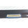 Матрица 11.6 M116NWR1 R1 (1366*768, 40pin, LED, SLIM (горизонтальные ушки), матовая, разъем справа внизу) для ноутбука